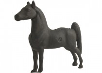 CI-00025